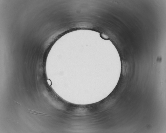 X0000112140252200909181405