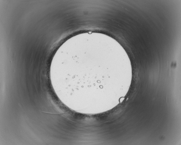 X0000112140256200909181405