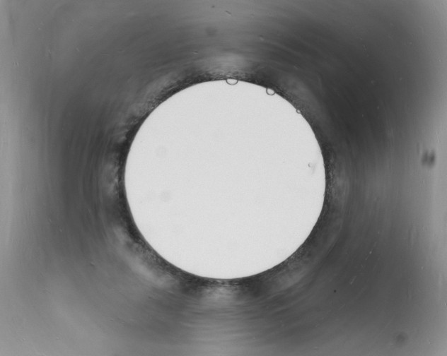 X0000112140259200909181405