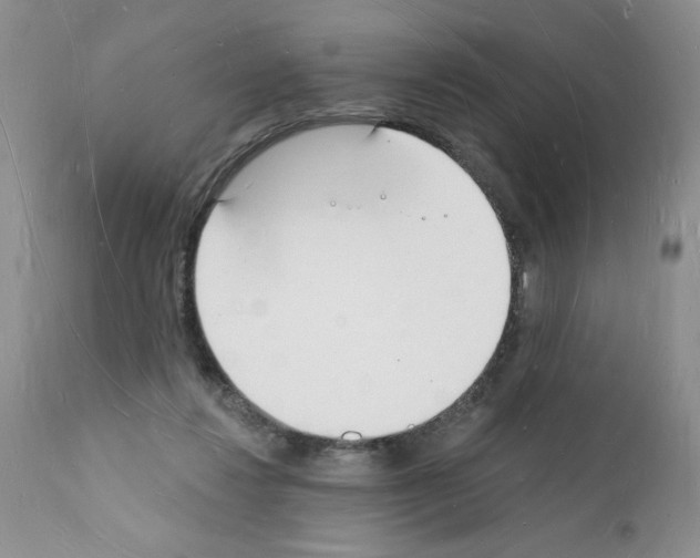 X0000112140260200909181405