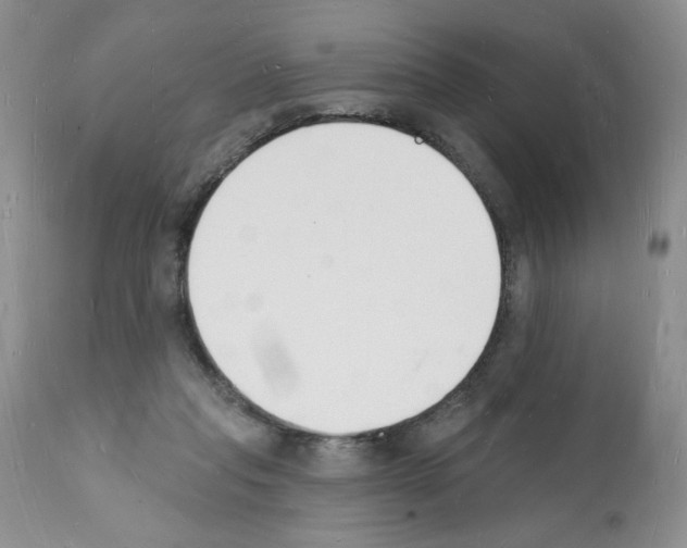 X0000112140261200909181405