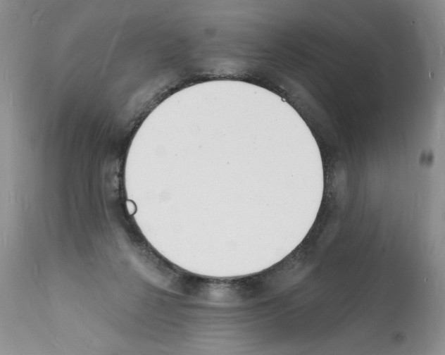 X0000112140264200909181405