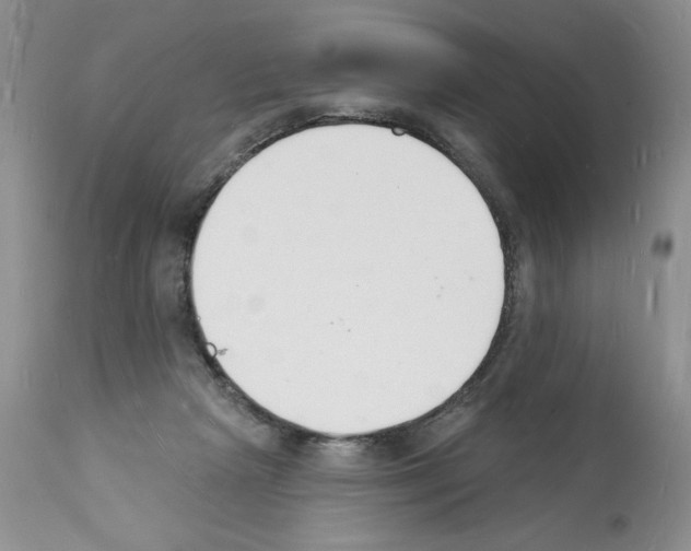 X0000112140265200909181405