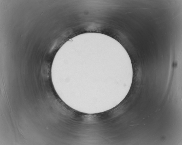 X0000112140273200909181405