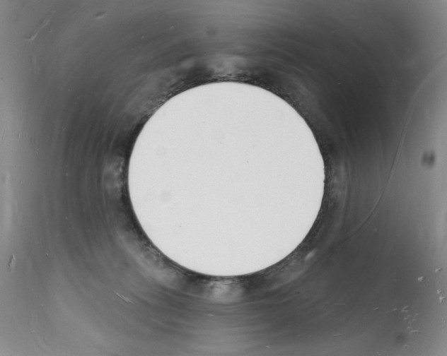 X0000112140275200909181405