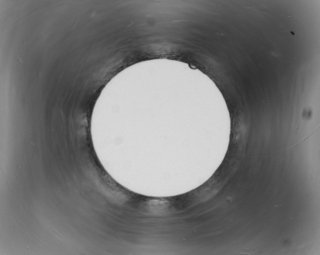 X0000112140279200909181406