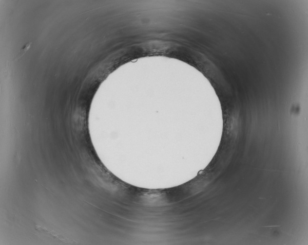 X0000112140283200909181406