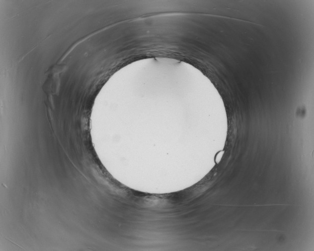 X0000112140284200909181406