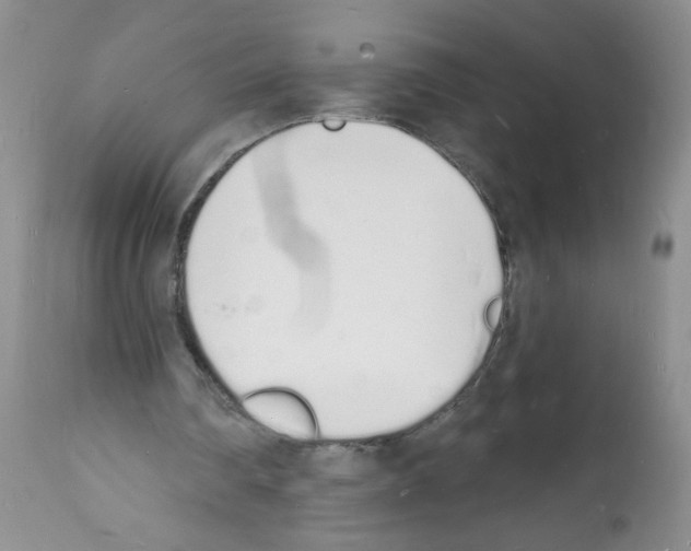 X0000112140290200909181405