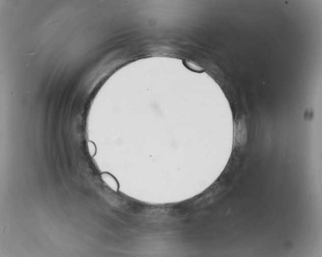 X0000112140291200909181405