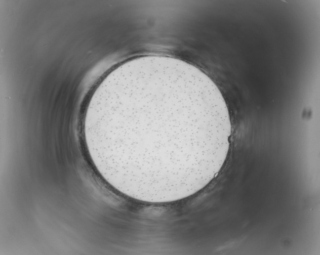 X0000112140294200909181405