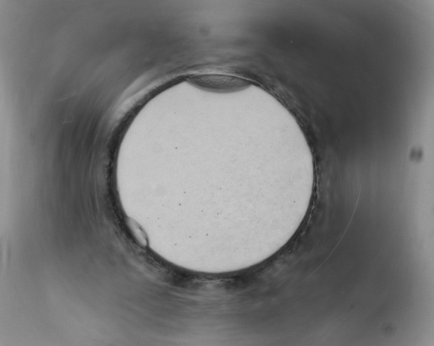 X0000112140295200909181405