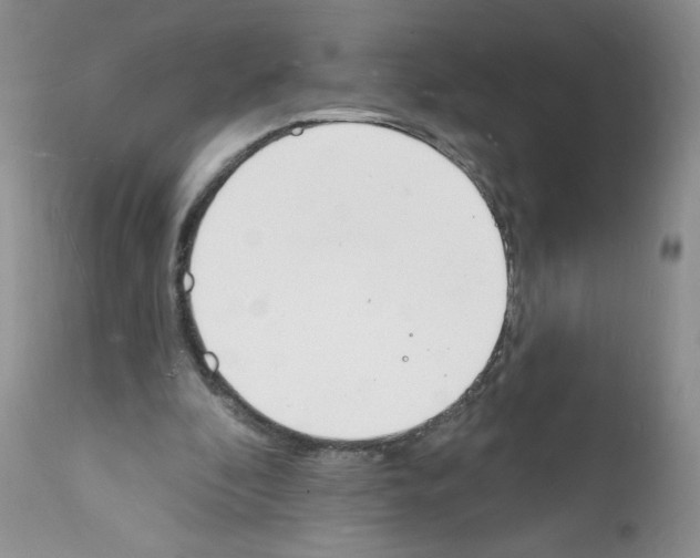 X0000112140296200909181405