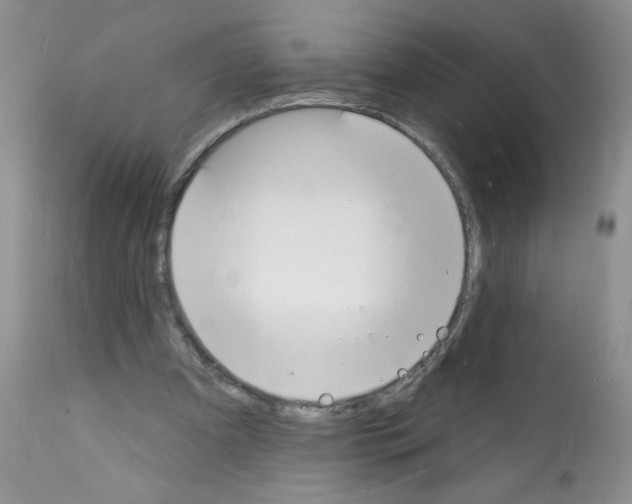 X0000112140297200909181405