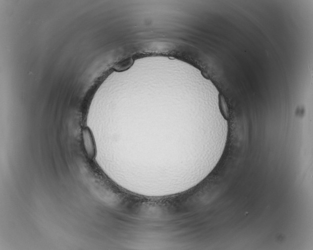 X0000112140300200909181405