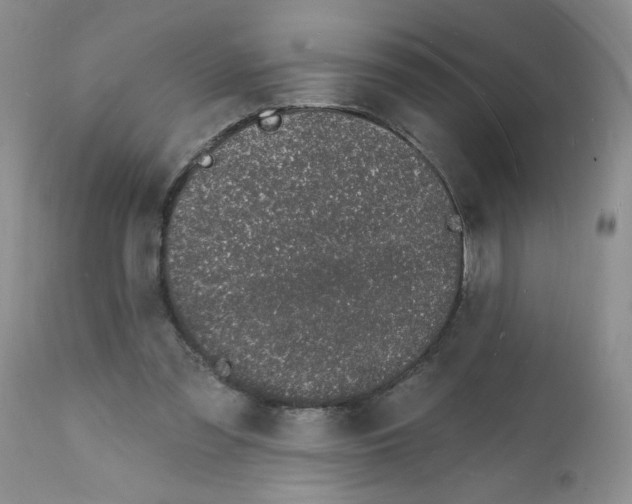 X0000112140301200909181405