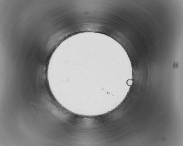 X0000112140302200909181405