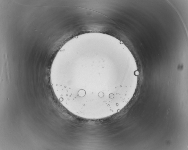 X0000112140305200909181405