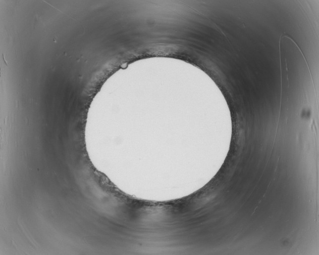 X0000112140307200909181405