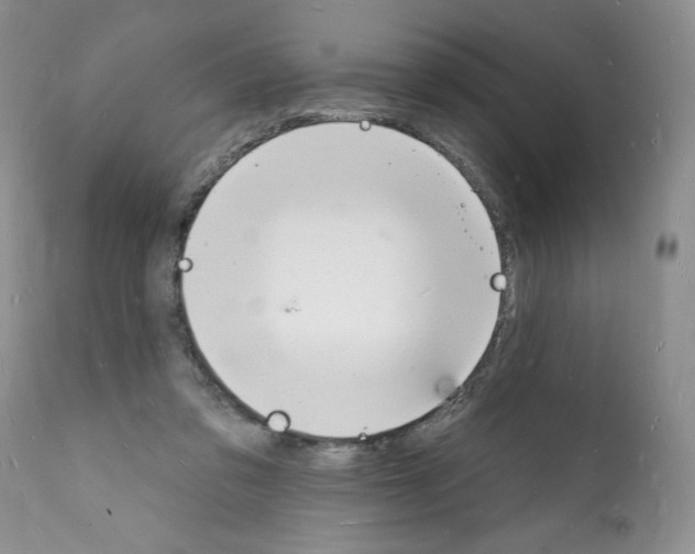 X0000112140309200909181405