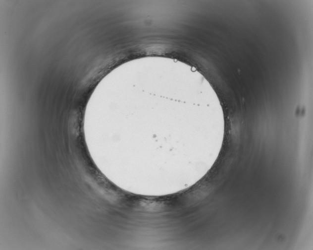 X0000112140311200909181405