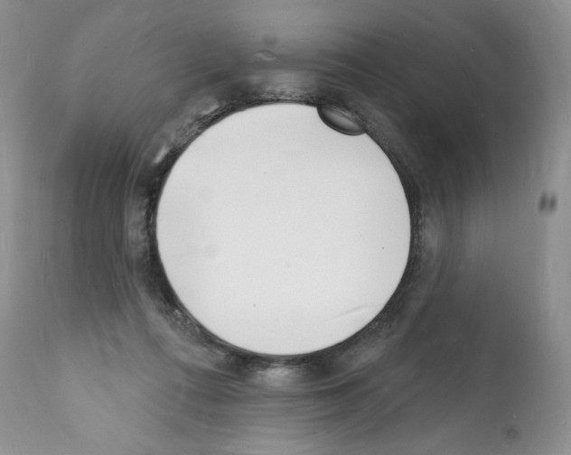 X0000112140312200909181405