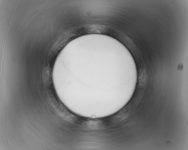 X0000112140314200909181405