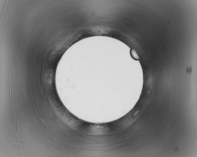 X0000112140315200909181405