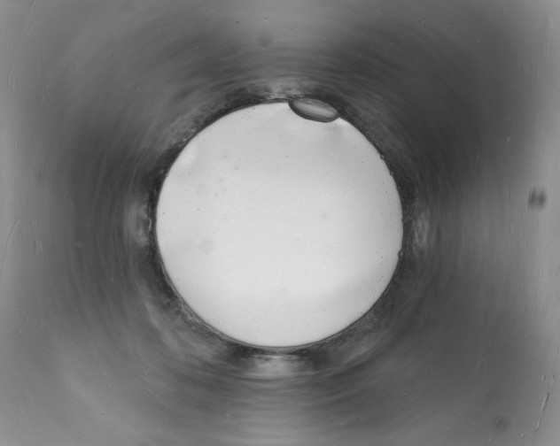 X0000112140316200909181405