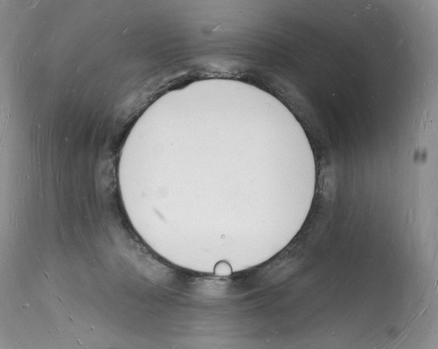 X0000112140318200909181405