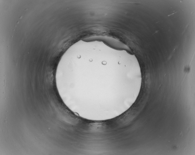 X0000112140320200909181404