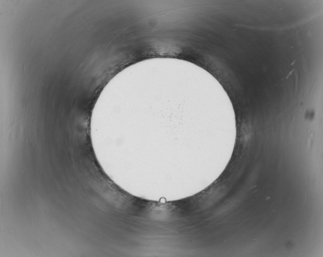 X0000112140321200909181404