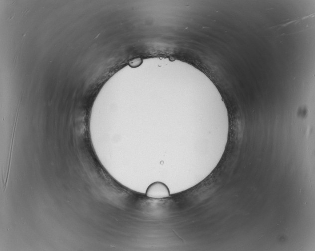 X0000112140323200909181404