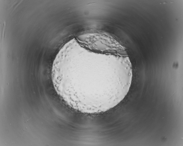 X0000112140324200909181404