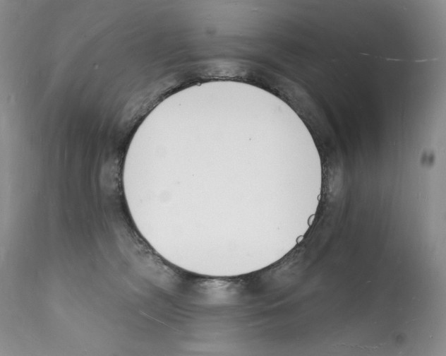 X0000112140326200909181404