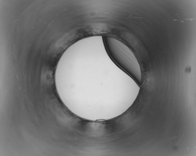 X0000112140327200909181404