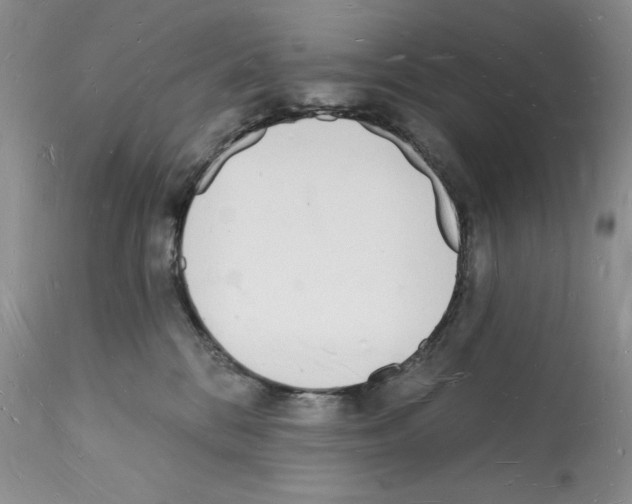 X0000112140328200909181404