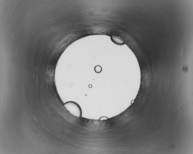 X0000112140329200909181404