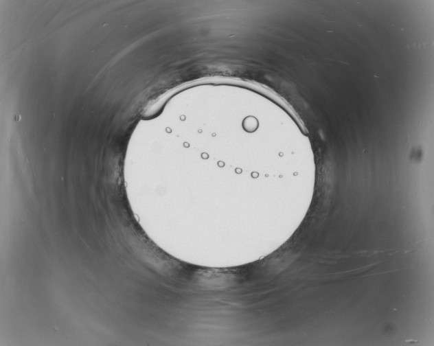 X0000112140331200909181404