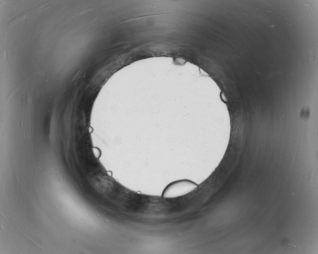 X0000112140335200909181404