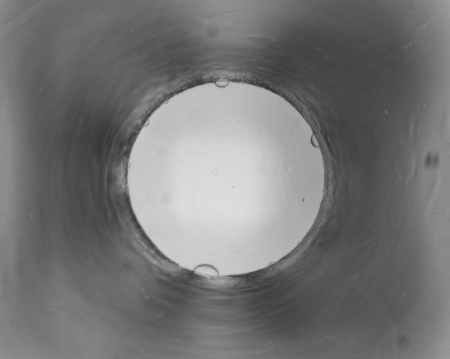 X0000112140336200909181404