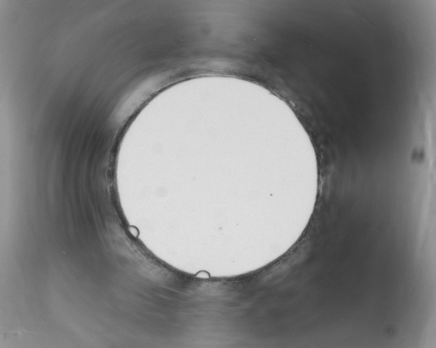 X0000112140341200909181403