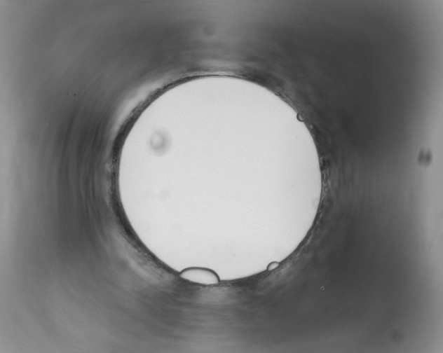 X0000112140342200909181403