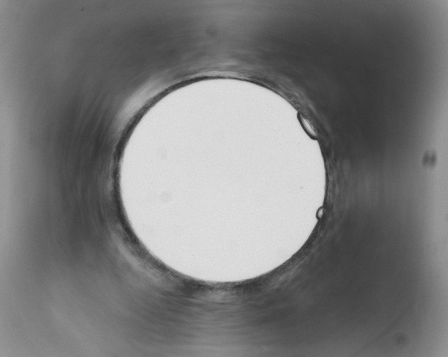 X0000112140344200909181403