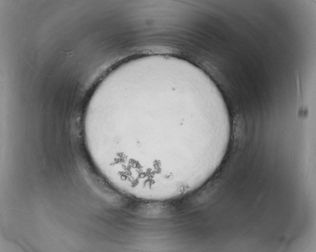 X0000112140351200909181404