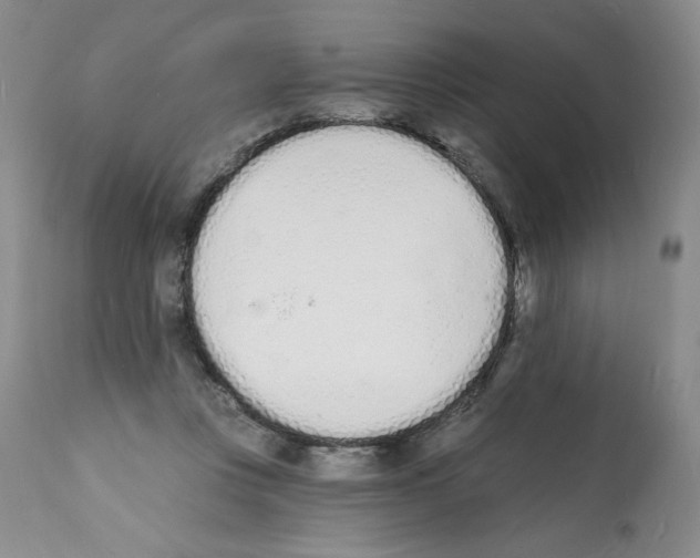 X0000112140359200909181404