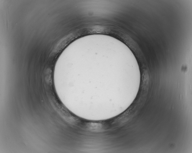 X0000112140361200909181404