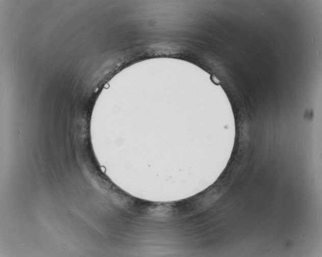 X0000112140362200909181404