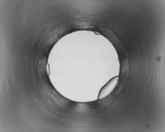 X0000112140376200909181404