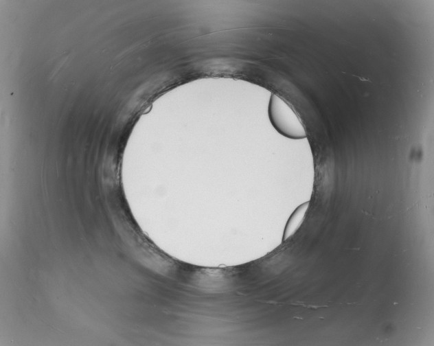 X0000112140381200909181404